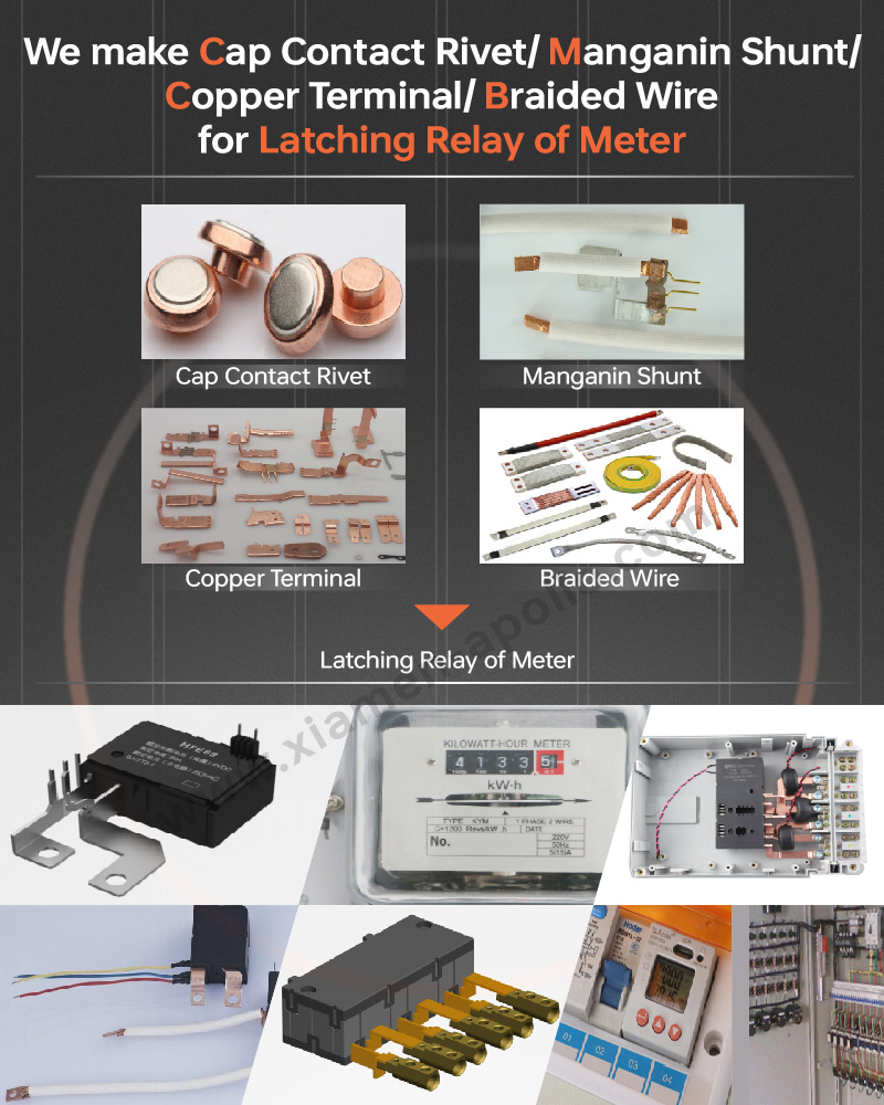 Braided Copper Wire for Power Latching Relay.jpg