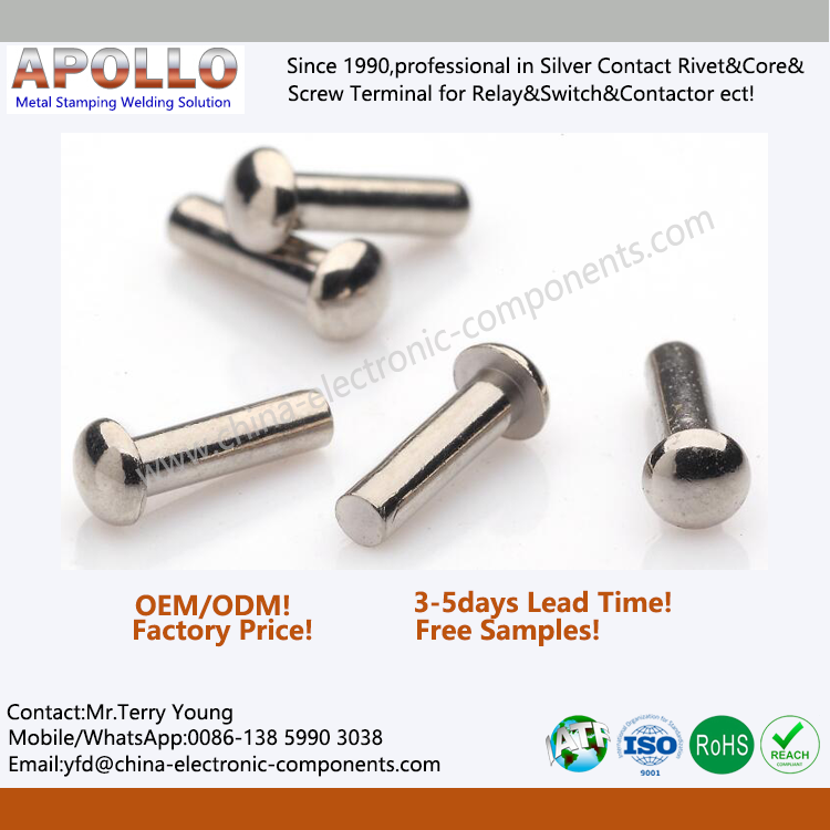 Electroless Nickel Plating Rivets