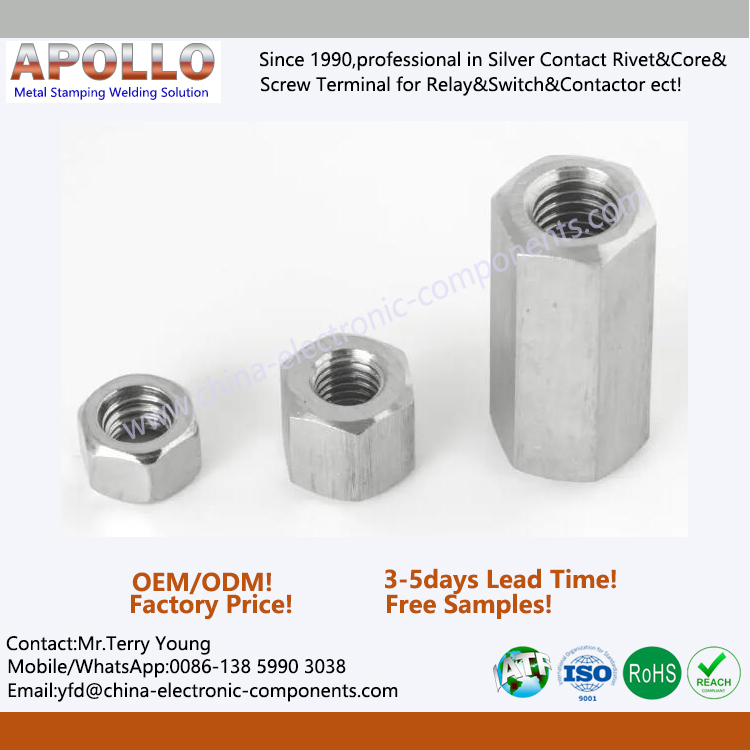 Stainless Steel Nut for Screw Bolt