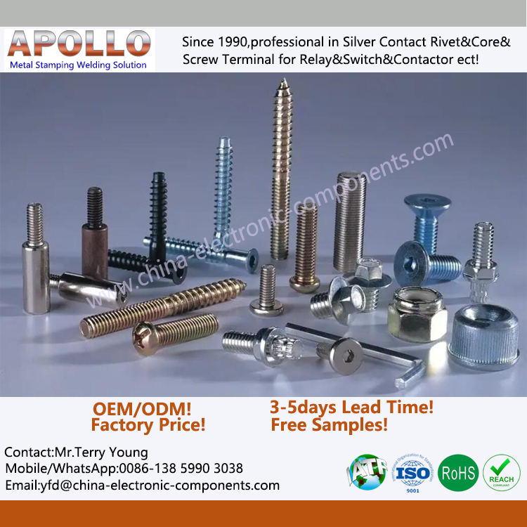 Customized Steel Screw