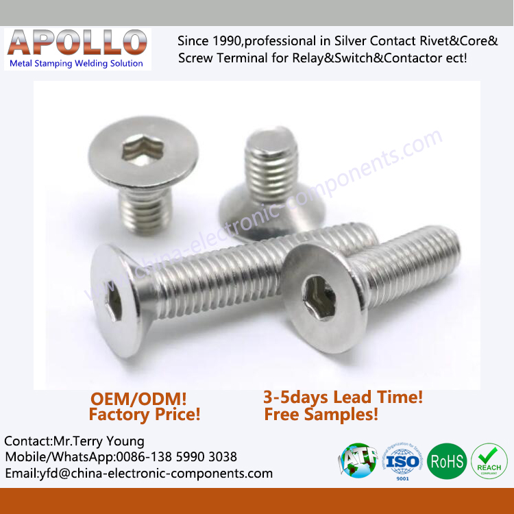 Flat-head Hexagon Socket Stainless Steel Screws